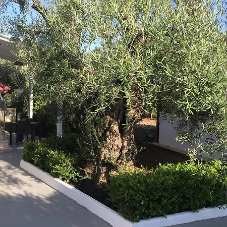 Bed & Breakfast Il Peperoncino Bisceglie