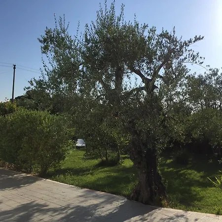 Bed & Breakfast Il Peperoncino *